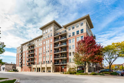 STUNNING 2 BED 2 BATH CONDO IN THE HEART OF DES PLAINES