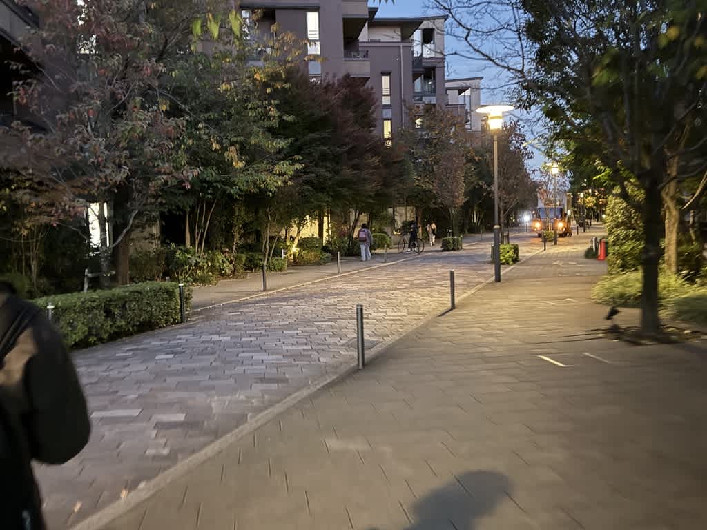 帰りも石畳の道から帰ることになった写真。さっきよりも暗くなっている