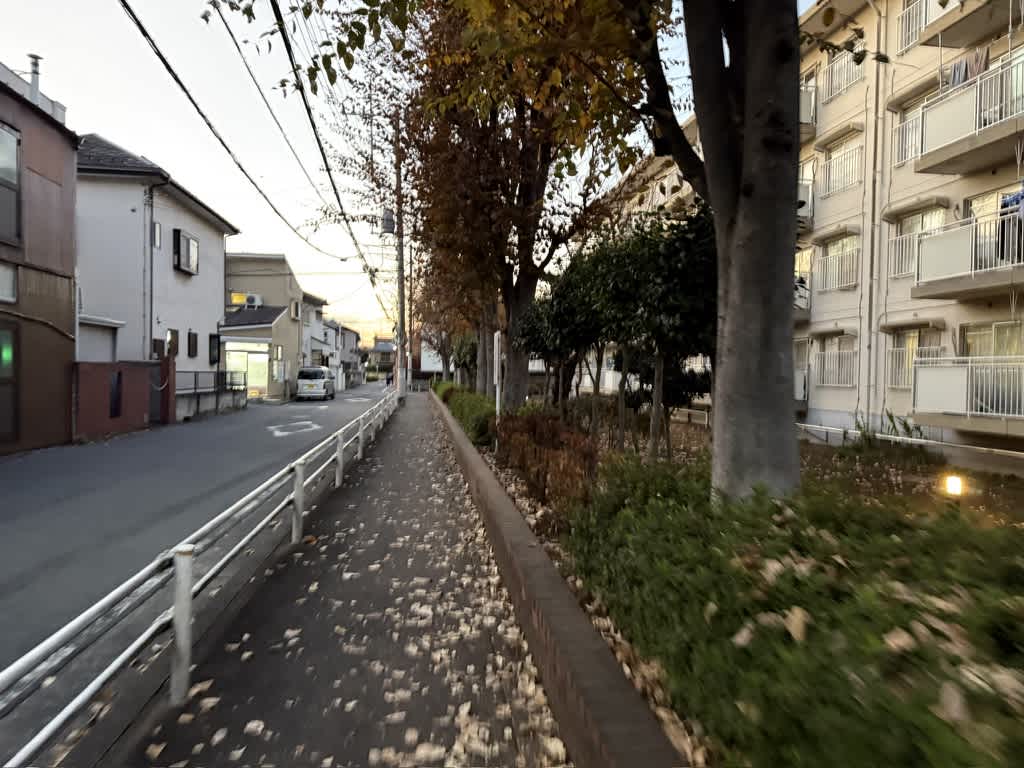 夕方の住宅街の歩道。左には道路と家々が並び、右には集合住宅と木々が続いている。落ち葉が散らばっている