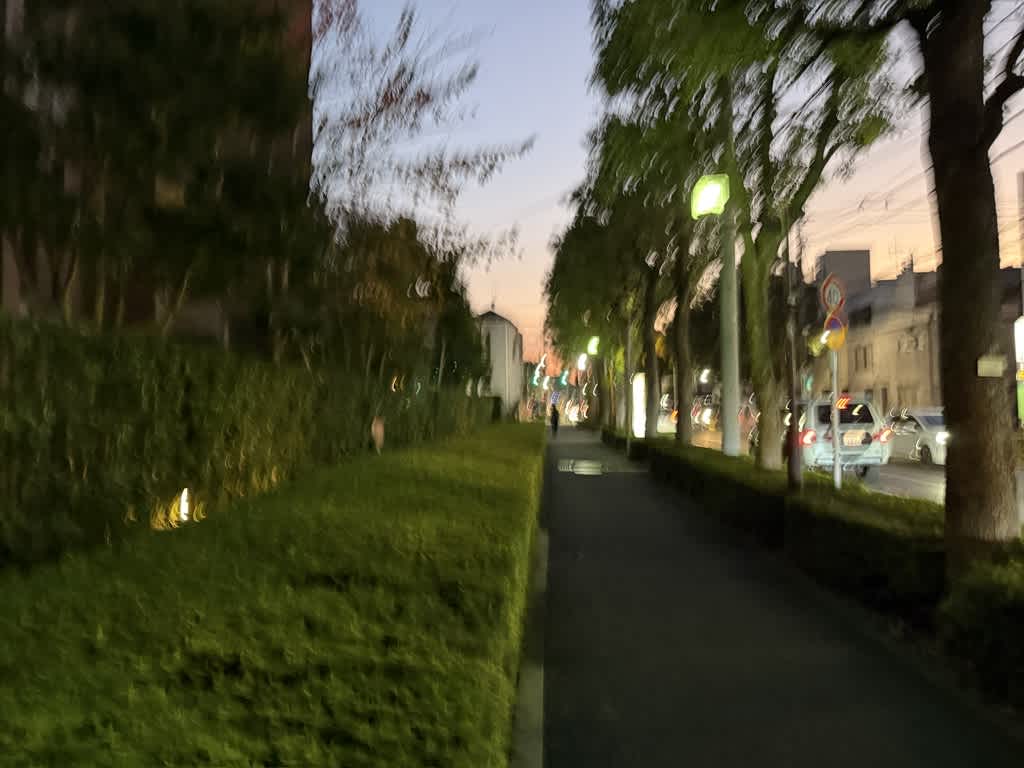帰りは石畳ではない大通りから帰ろうとする写真