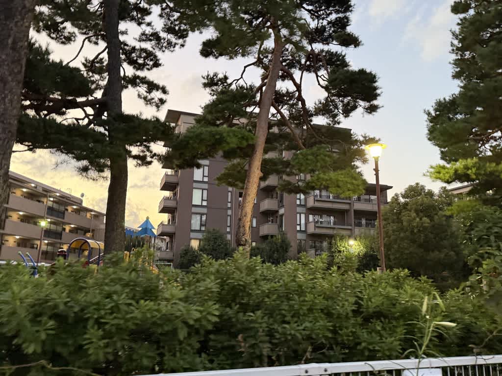 大きな遊具のある公園を茂みの外から見た画像