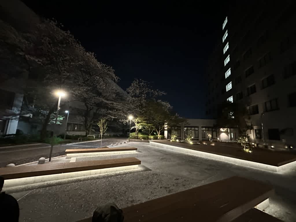 夜の中庭、ベンチと街灯が並び、桜が咲いている。