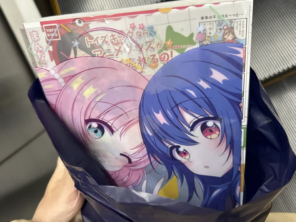 星屑テレパスのおでこぱしークリアファイルの画像。