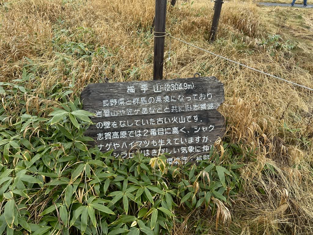 横手山の解説の札。次のように書いてある: 横手山 （2304.9m）
長野県と群馬の県境になっており岩菅山や笠ヶ岳などと共に旧志賀湖の壁をなしていた古い火山です。志賀高原では2番目に高く、シャクナゲやハイマツも生えていますが、……シラビ…はきびしい気象に伸び………観光庁・長野 (一部読み取れず)