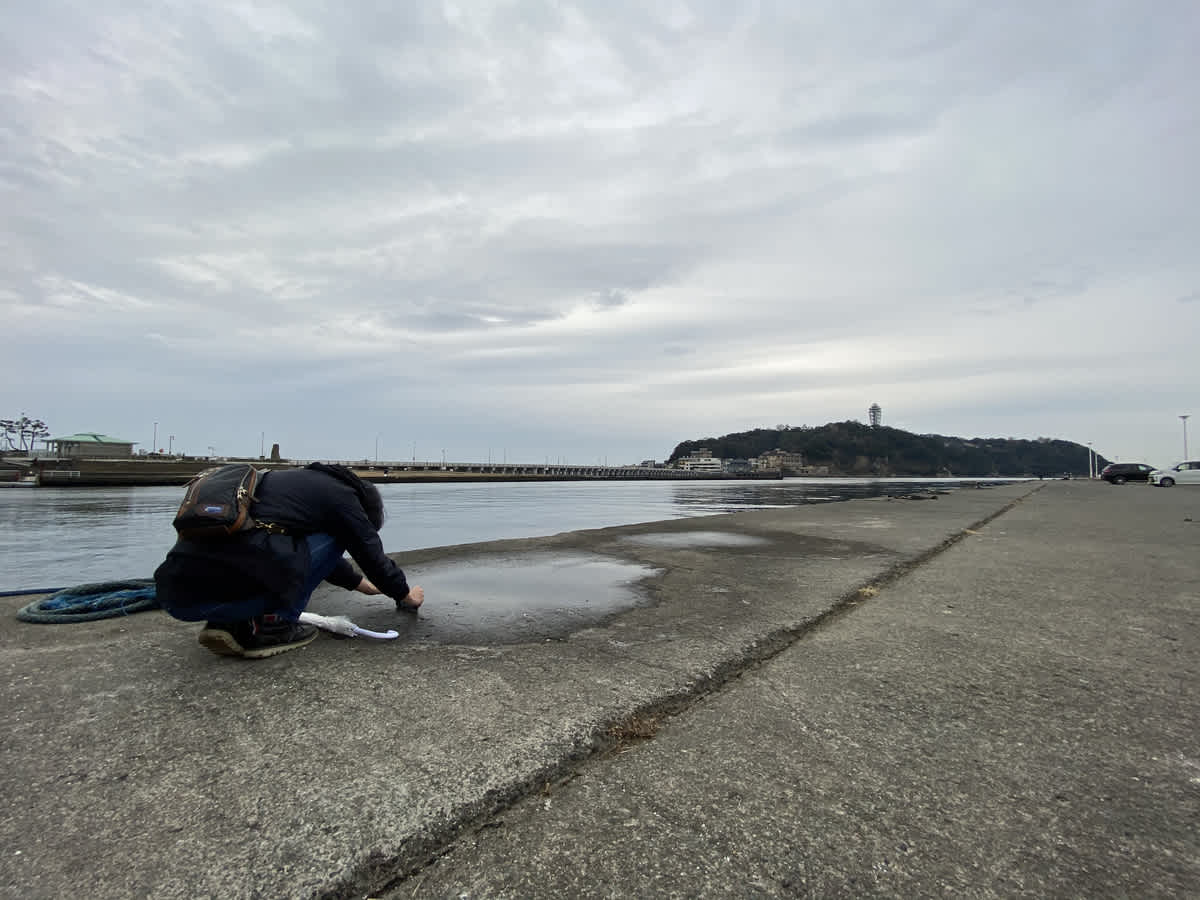 https://res.cloudinary.com/trpfrog/blog/enoshima-walk/20201229042059