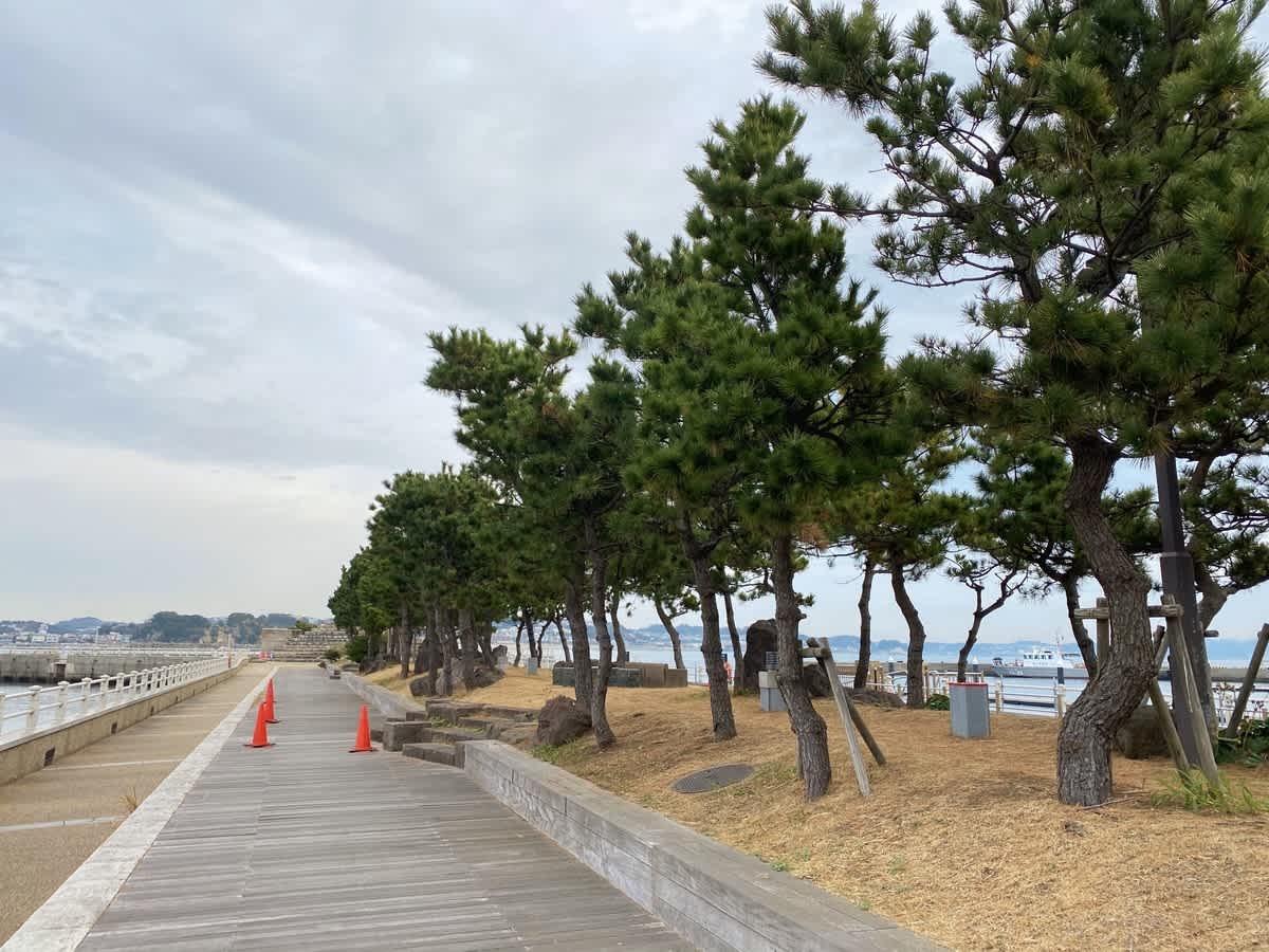 https://res.cloudinary.com/trpfrog/blog/enoshima-walk/20201229193736