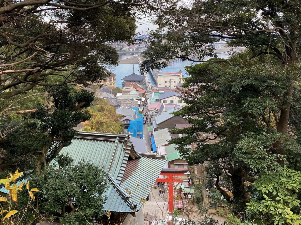 https://res.cloudinary.com/trpfrog/blog/enoshima-walk/20201229204337