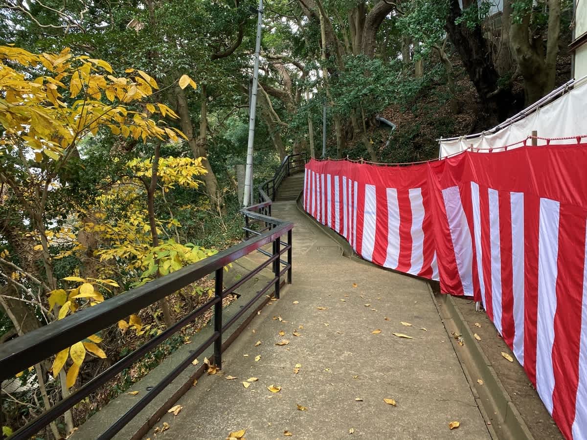https://res.cloudinary.com/trpfrog/blog/enoshima-walk/20201229205024