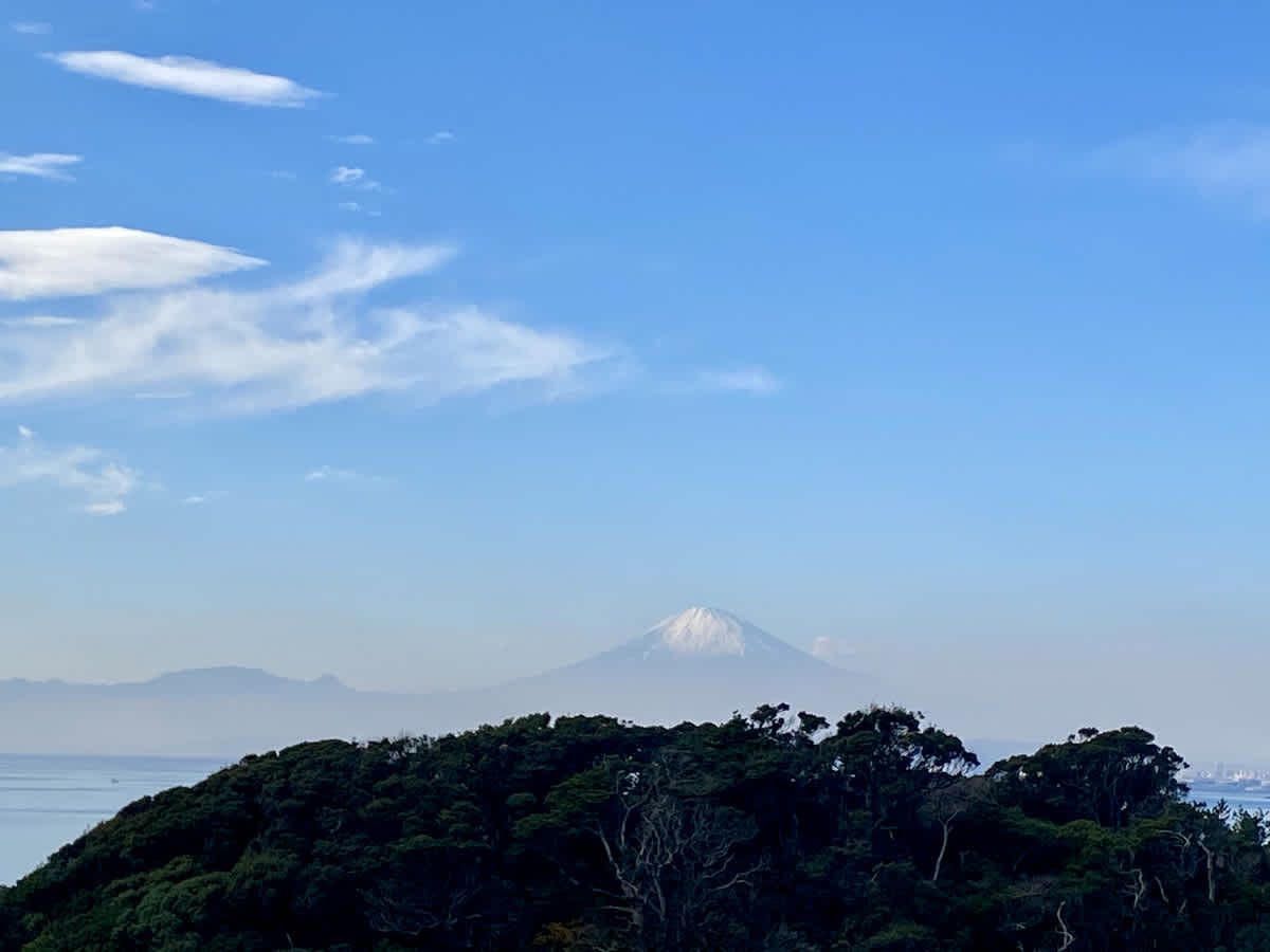 https://res.cloudinary.com/trpfrog/blog/enoshima-walk/20201229212402
