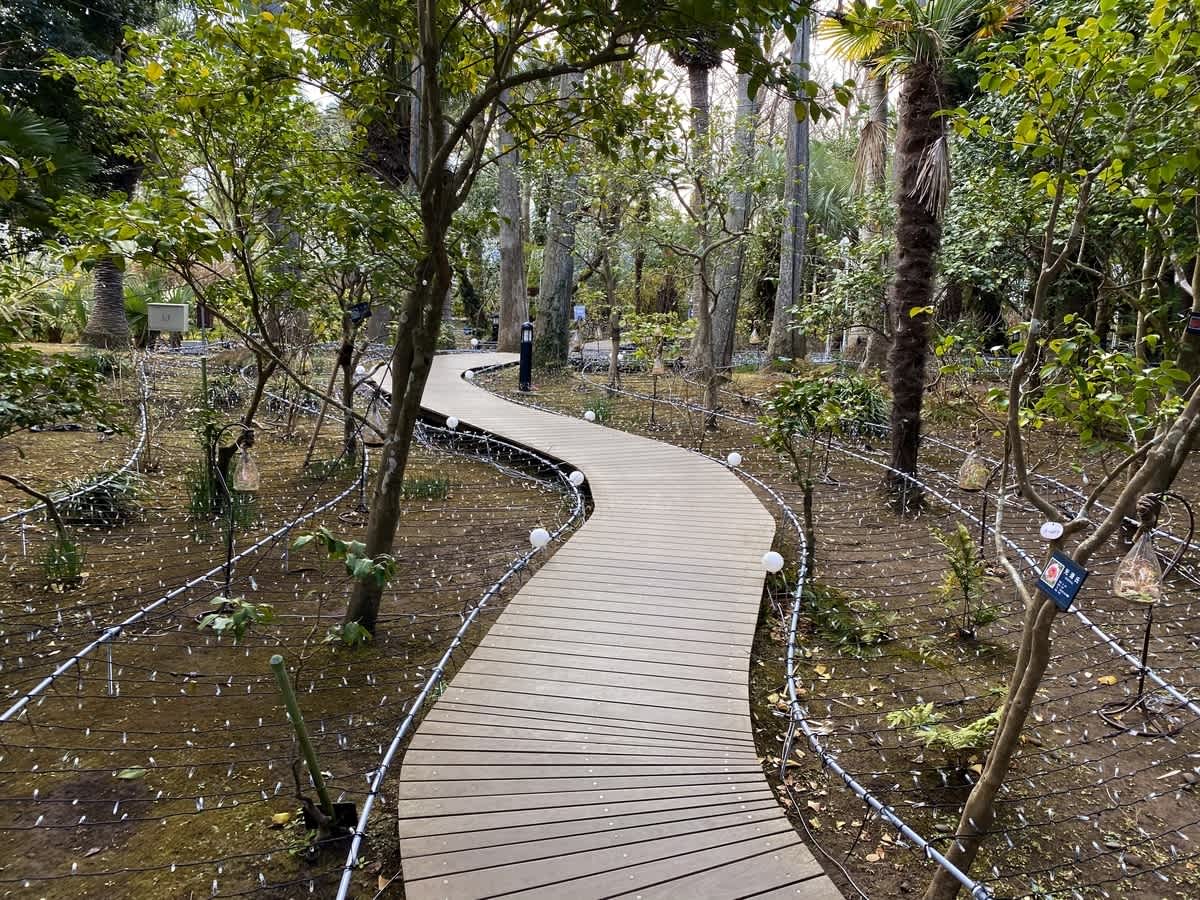 https://res.cloudinary.com/trpfrog/blog/enoshima-walk/20201229221152