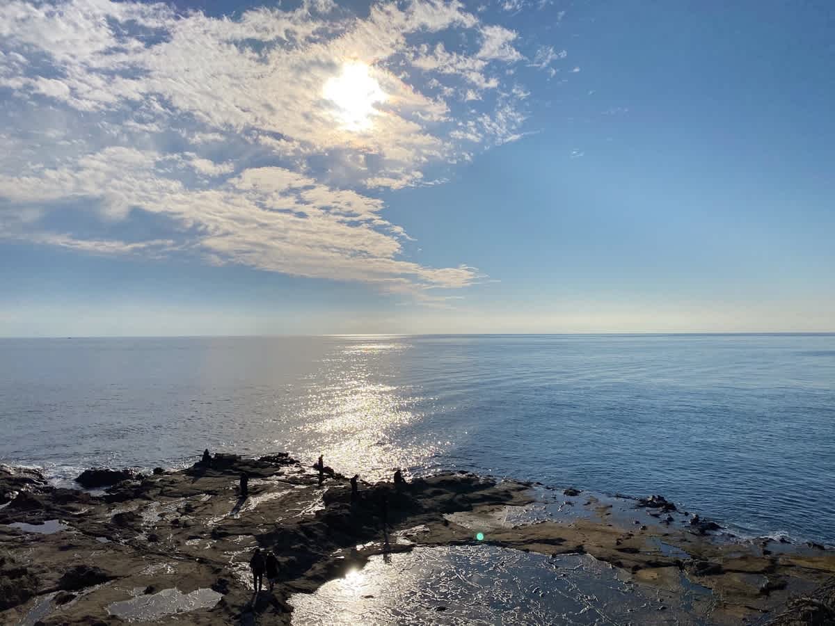 https://res.cloudinary.com/trpfrog/blog/enoshima-walk/20201229231158