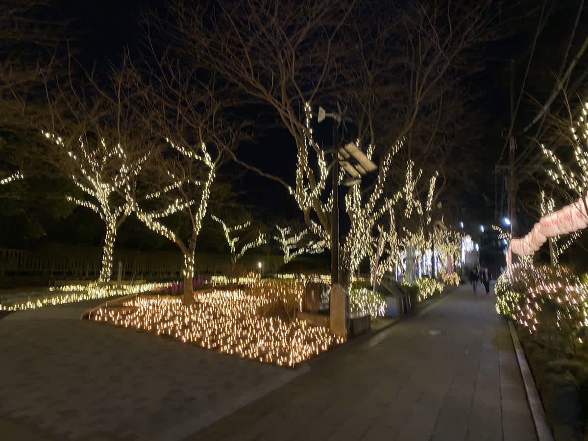 https://res.cloudinary.com/trpfrog/blog/enoshima-walk/20201230061711