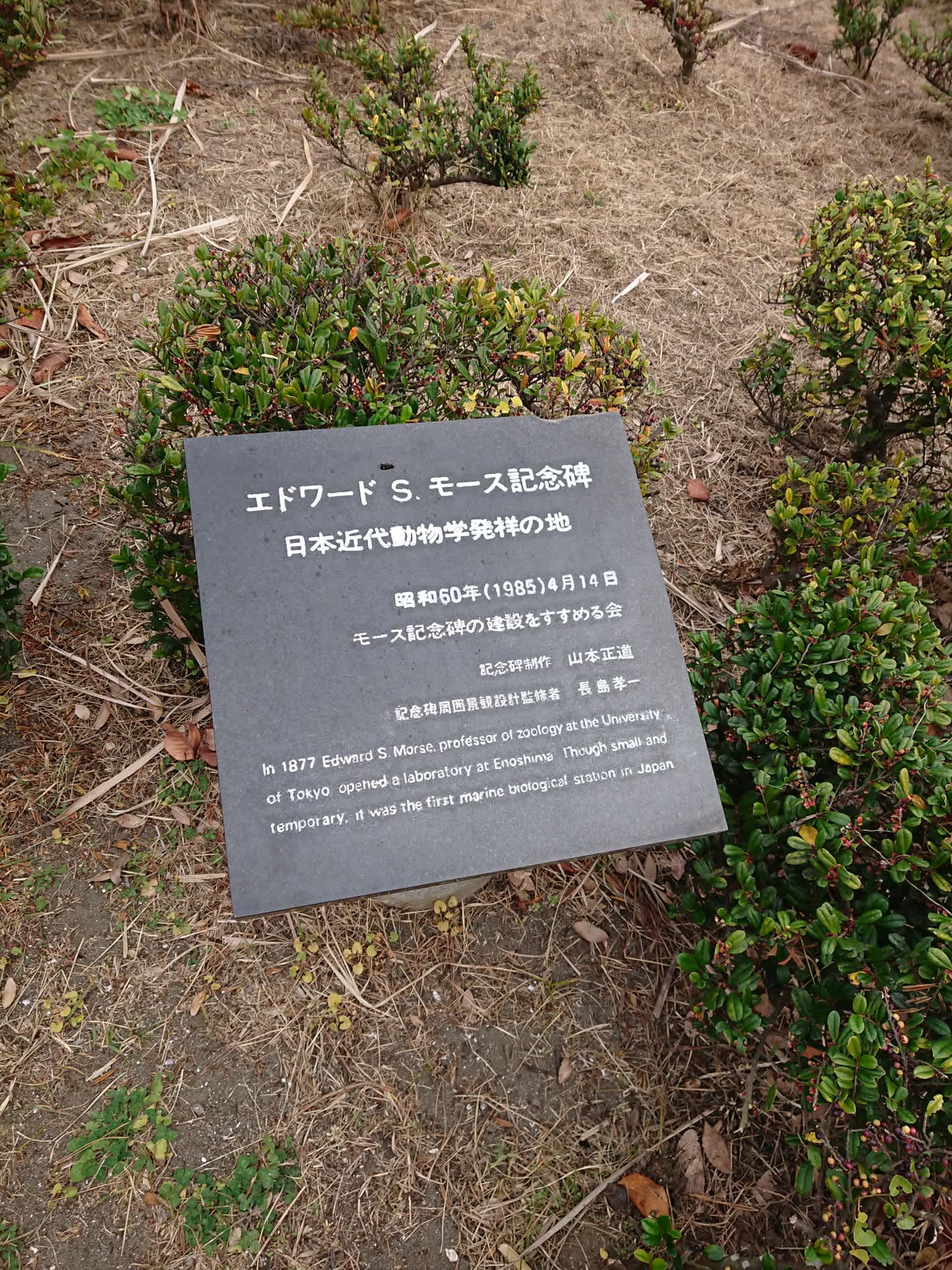 https://res.cloudinary.com/trpfrog/image/upload/v1654511320/blog/enoshima-walk/EqSH_ouVQAAEw9e.jpg