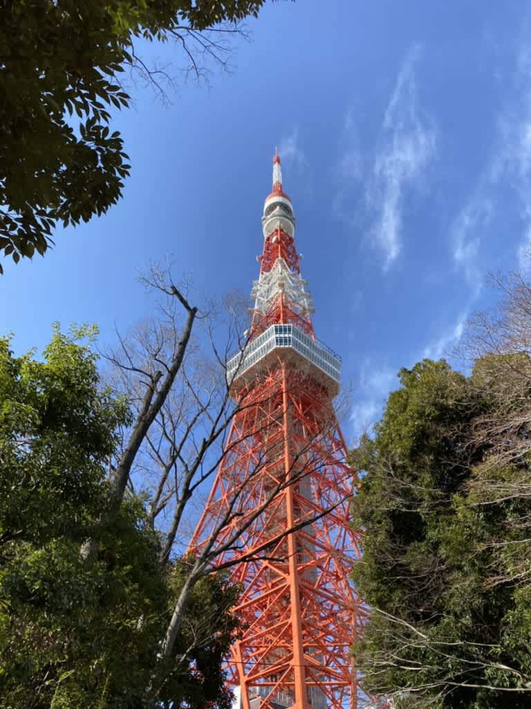 https://res.cloudinary.com/trpfrog/image/upload/v1647439687/blog/haneda-tokyo-tower/0E93BBB0-636B-40E3-ACD5-677C5A7C773C_1_105_c.jpg