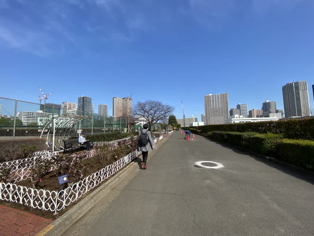 https://res.cloudinary.com/trpfrog/image/upload/v1647439528/blog/haneda-tokyo-tower/F20D003F-7806-4893-B698-FECC0B6F514C_1_105_c.jpg