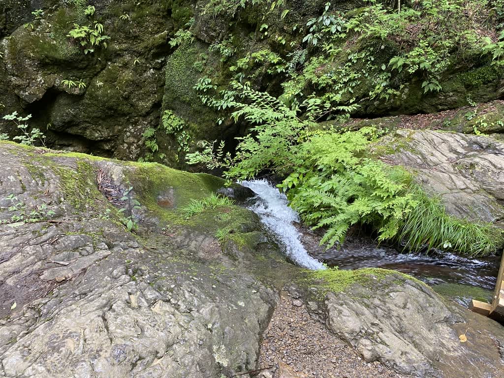https://res.cloudinary.com/trpfrog/image/upload/v1661074203/blog/mt-mitake-otake/28F3C70F-2763-45E3-B600-EDF2680C6512_1_105_c.jpg