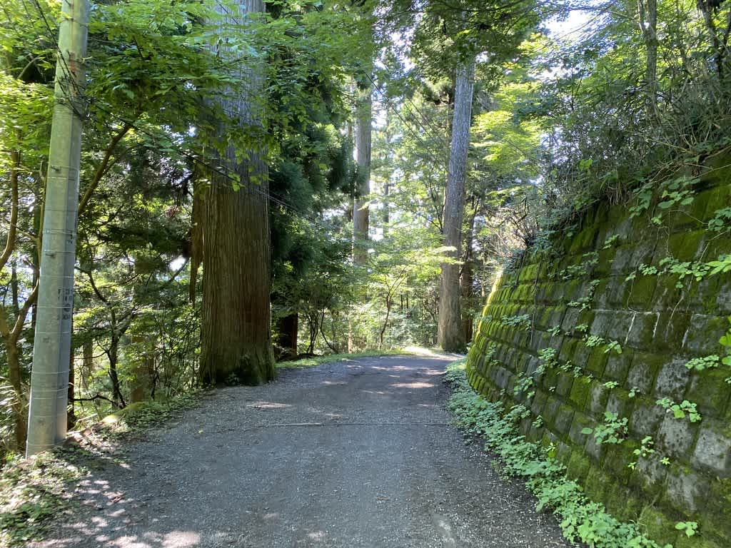 https://res.cloudinary.com/trpfrog/image/upload/v1661073318/blog/mt-mitake-otake/707A28E7-42E7-458B-AF08-86B33491976F_1_105_c.jpg