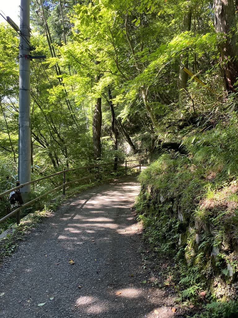 https://res.cloudinary.com/trpfrog/image/upload/v1661073310/blog/mt-mitake-otake/72B0829D-B6ED-4757-8BF2-7DEF8D88C8B6_1_105_c.jpg