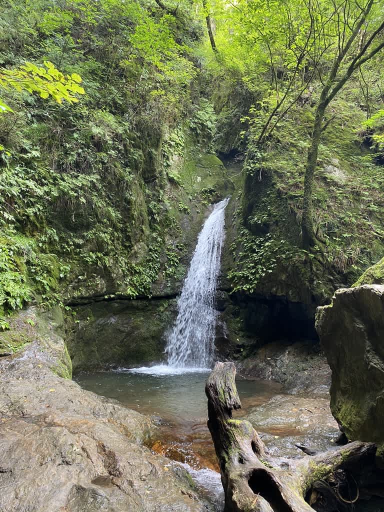 https://res.cloudinary.com/trpfrog/image/upload/v1661074188/blog/mt-mitake-otake/AB673116-BC51-43E1-A86C-E463896016DF_1_105_c.jpg