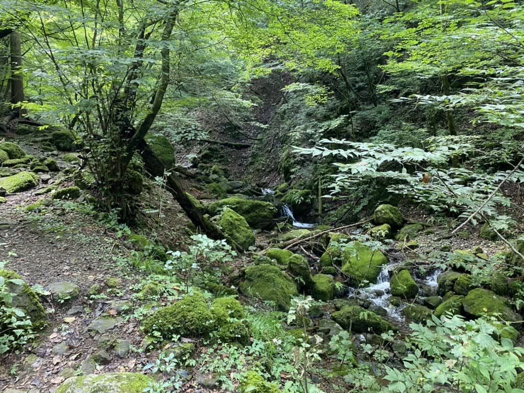 https://res.cloudinary.com/trpfrog/image/upload/v1661075507/blog/mt-mitake-otake/C4BDEC0D-C08B-4486-B972-DE7C9E25D733_1_105_c.jpg