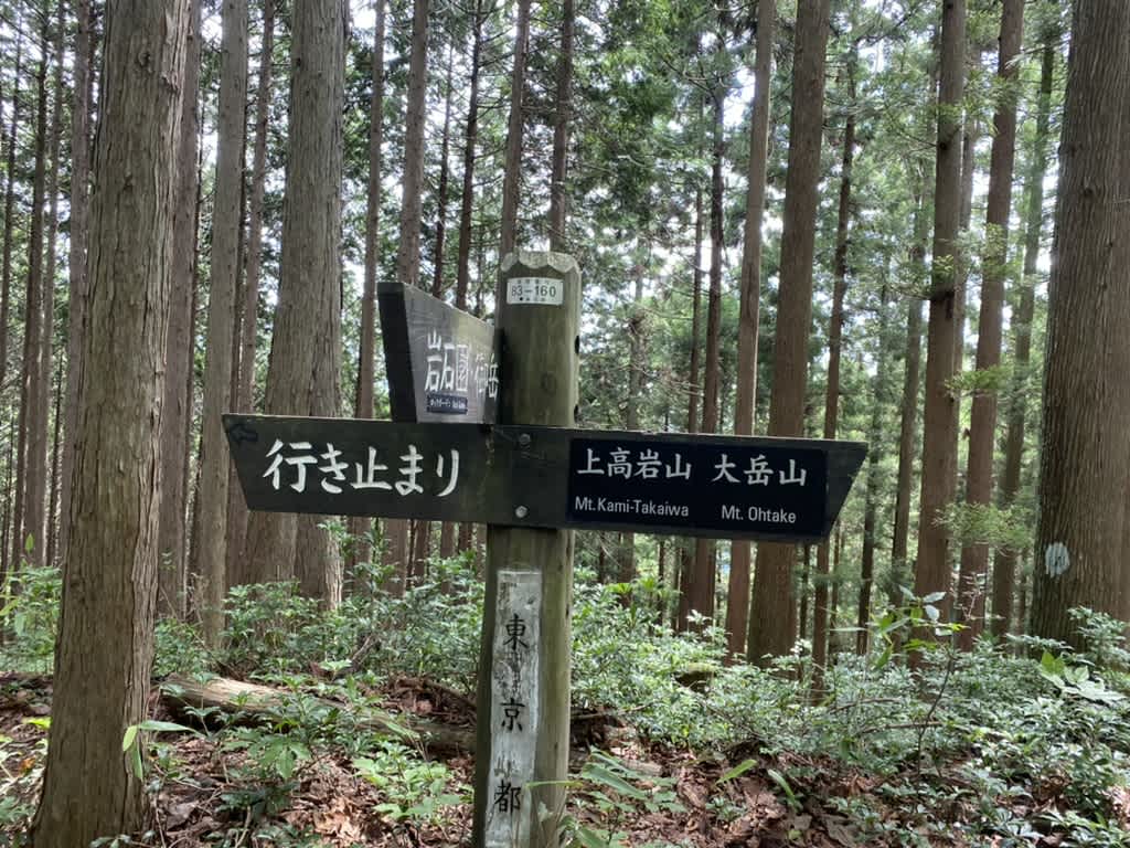 https://res.cloudinary.com/trpfrog/image/upload/v1661076207/blog/mt-mitake-otake/F270358E-2723-4F11-BFE1-1F11D1F1F185_1_105_c.jpg