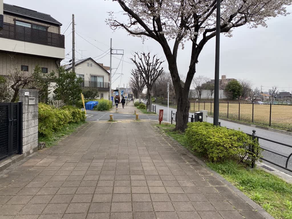 https://res.cloudinary.com/trpfrog/image/upload/v1648643792/blog/omiya-walk/26E6745A-8DED-417B-9CEE-8DFD85B08380_1_105_c.jpg