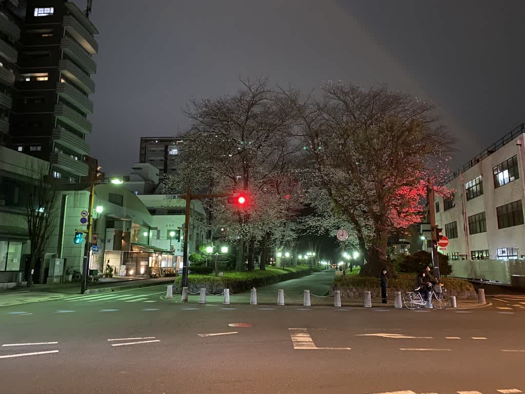 https://res.cloudinary.com/trpfrog/image/upload/v1648644746/blog/omiya-walk/30902874-C570-40E5-947E-6734D3BF948A_1_105_c.jpg