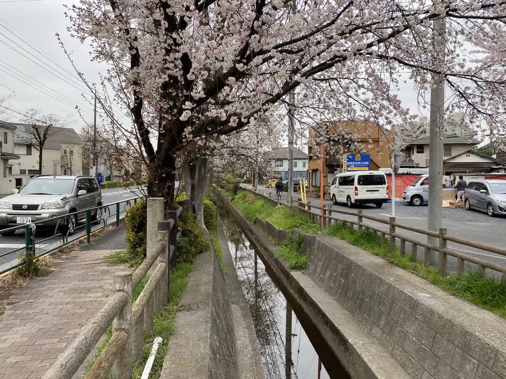 https://res.cloudinary.com/trpfrog/image/upload/v1648642367/blog/omiya-walk/73E74B6F-CD58-4E28-BA42-0C9E8C714D0C_1_105_c.jpg