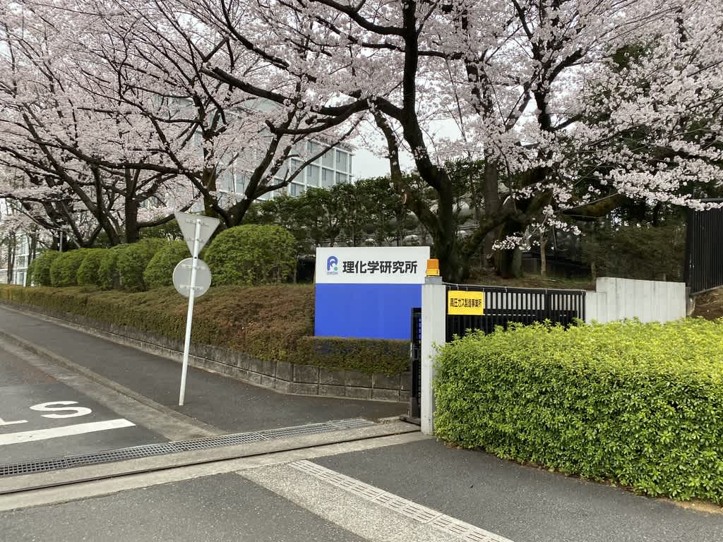 https://res.cloudinary.com/trpfrog/image/upload/v1648643874/blog/omiya-walk/78290F13-B11F-40C5-AD84-246CDF743E6A_1_105_c.jpg