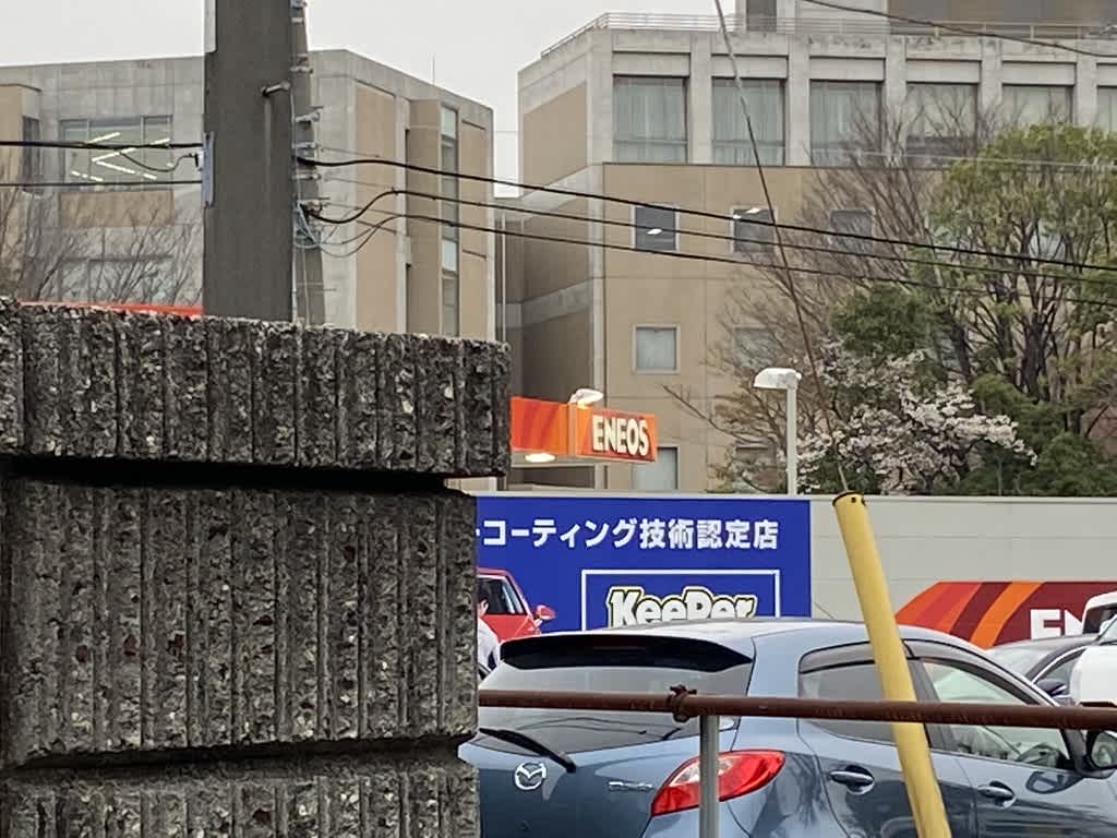 https://res.cloudinary.com/trpfrog/image/upload/v1648643810/blog/omiya-walk/8838A0FD-DD57-4810-9B7B-37446C2D9D0D_1_105_c.jpg