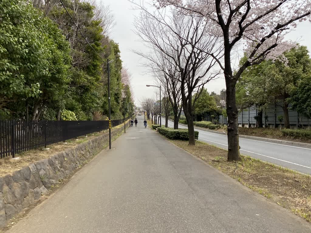 https://res.cloudinary.com/trpfrog/image/upload/v1648643826/blog/omiya-walk/A048BE74-5318-4F17-AF3A-1A2602328A0A_1_105_c.jpg