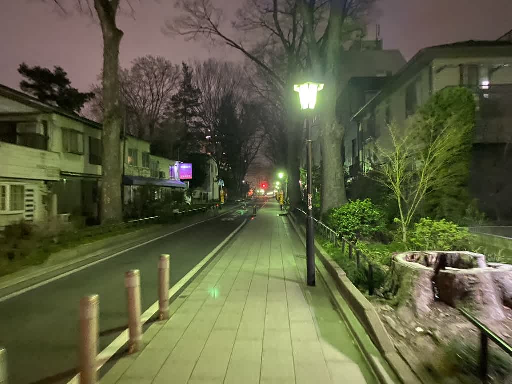 https://res.cloudinary.com/trpfrog/image/upload/v1648644739/blog/omiya-walk/C571B0BD-F454-4140-B0EF-CC34E2F87E31_1_105_c.jpg