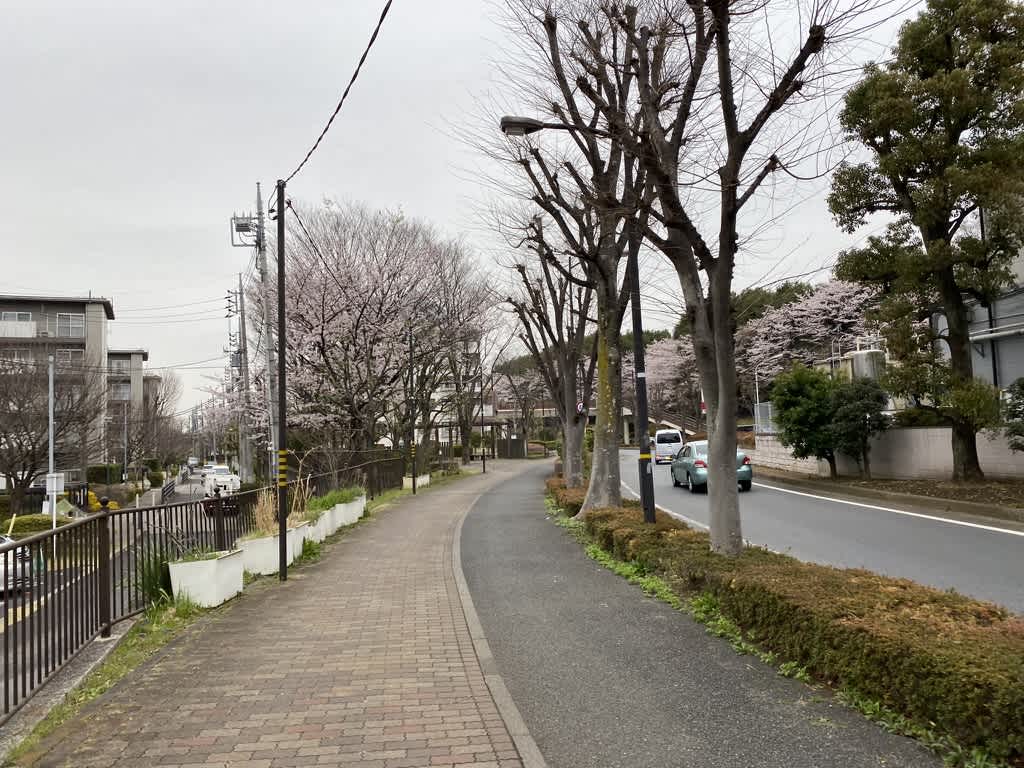 https://res.cloudinary.com/trpfrog/image/upload/v1648643834/blog/omiya-walk/E95A43A1-8CFB-4B8B-9221-91A3162806BD_1_105_c.jpg