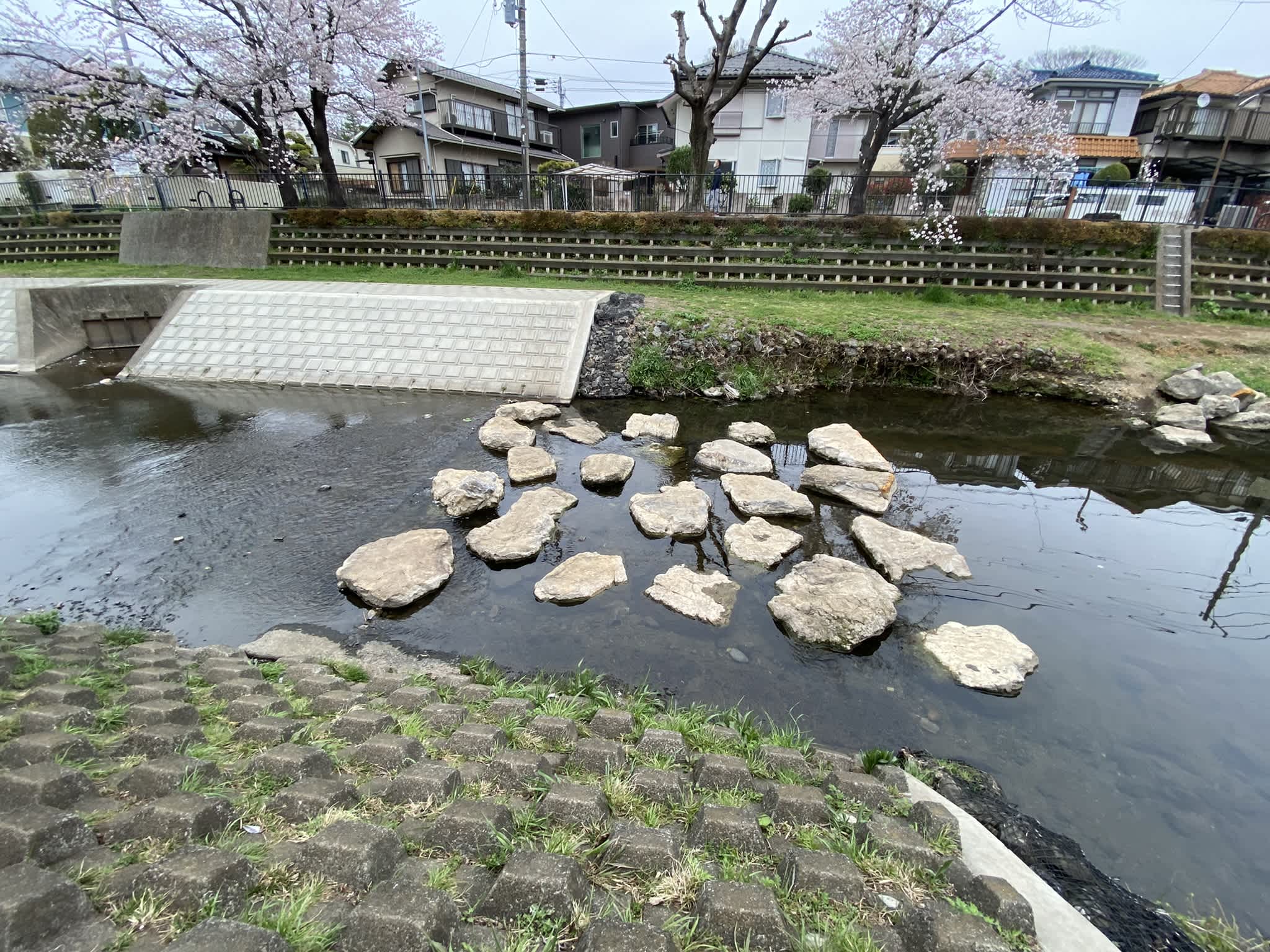 https://res.cloudinary.com/trpfrog/image/upload/v1648641264/blog/omiya-walk/EEBB1354-9D6B-4194-AD3D-3E7B503A3190_1_102_o.jpg