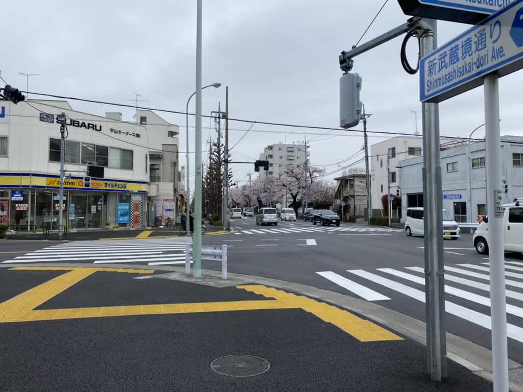 https://res.cloudinary.com/trpfrog/image/upload/v1648642318/blog/omiya-walk/F87BA20B-5552-45F8-9217-E2AC346BB731_1_105_c.jpg