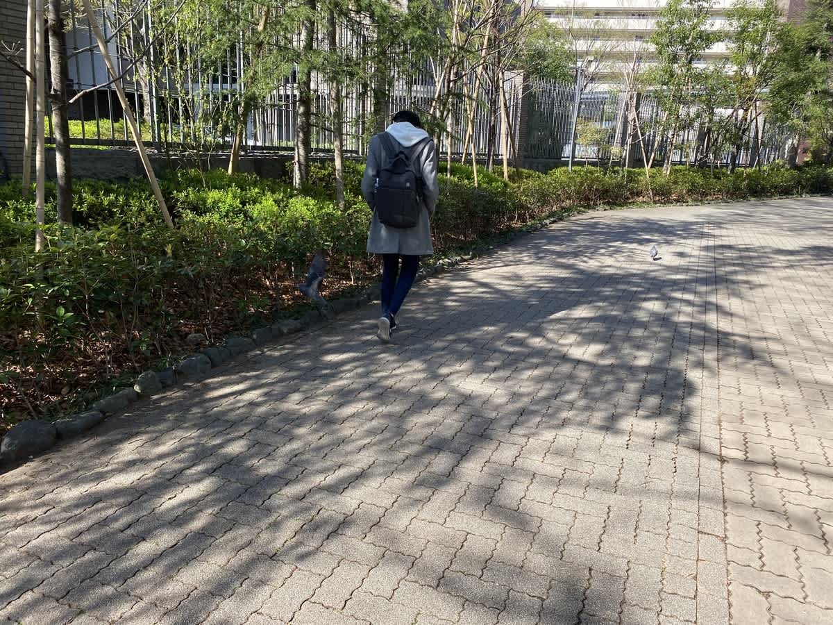 https://res.cloudinary.com/trpfrog/blog/tokyotower-walking/20210324184711