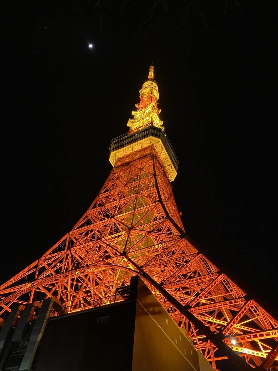https://res.cloudinary.com/trpfrog/blog/tokyotower-walking/20210324235305