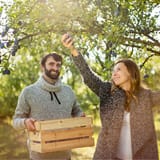 OWN FRUIT ORCHARDS