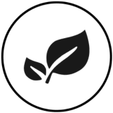 Hand-selected Botanicals