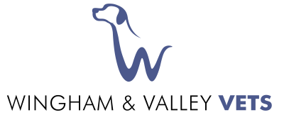 Wingham and Valley Vets