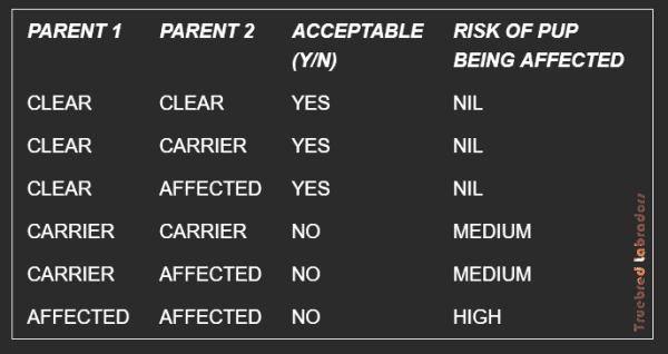 DNA test results chart