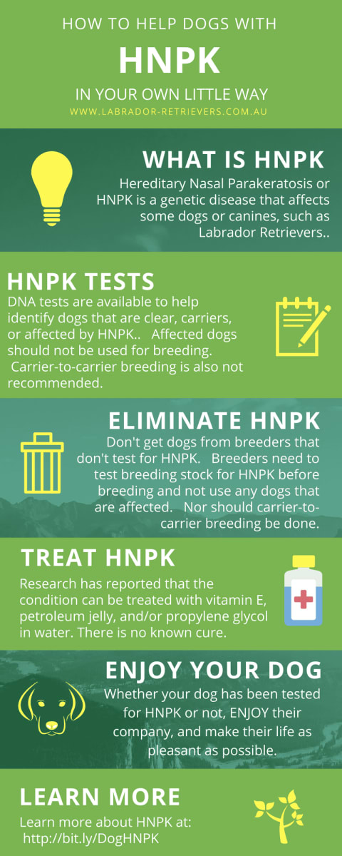 HNPK infographic