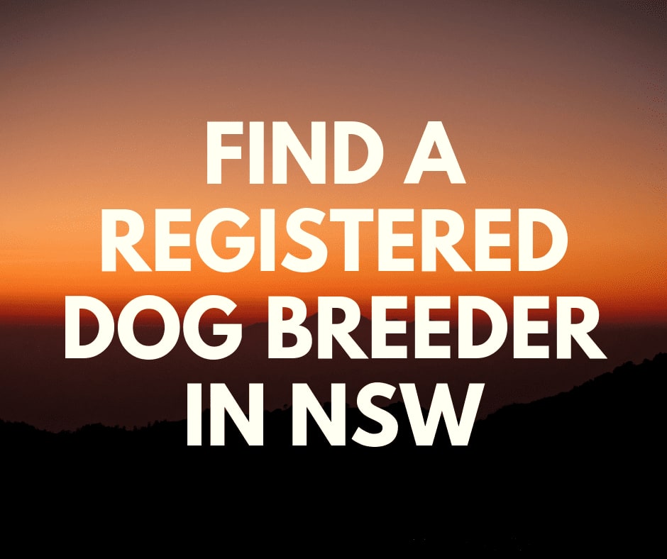 find a registered dog breeder in NSW