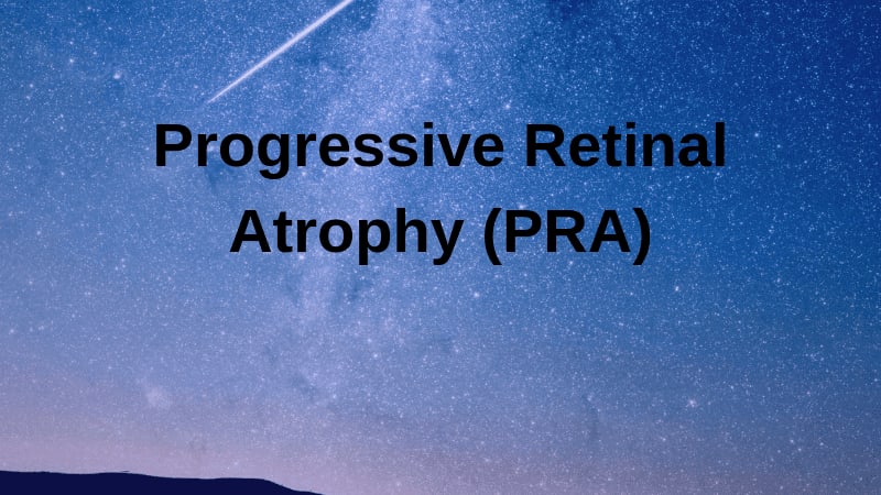 Progressive Retinal Atrophy (PRA)