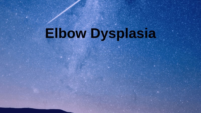 Elbow Dysplasia