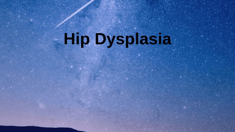 Hip Dysplasia