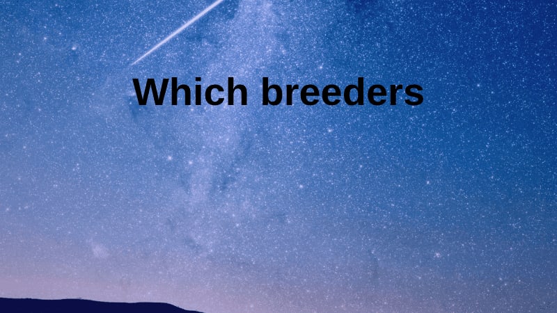 Which breeders