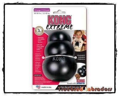 Kong Extreme