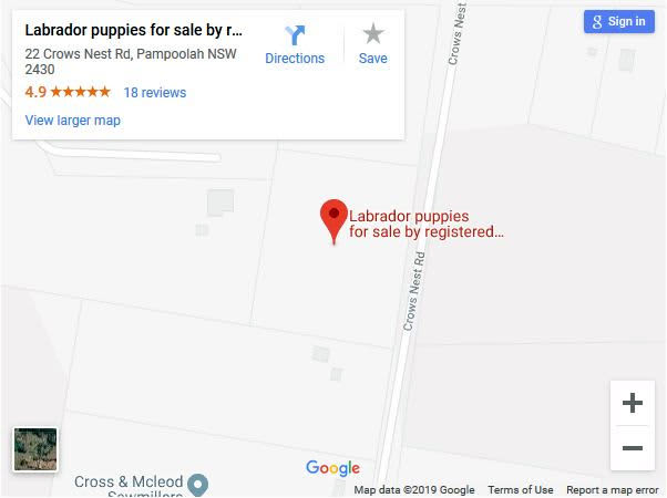 Labrador puppies for sale by registered Labrador breeders location map