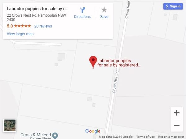 Labrador puppies for sale by registered Labrador breeders location map